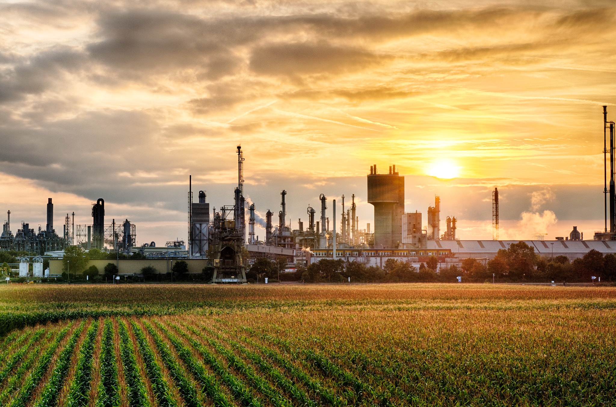 Chemical production facilities at BASF Ludwigshafen silhouetted against a golden sunset.